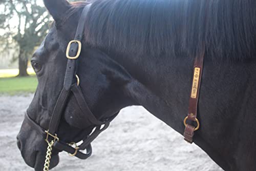 Tack Shack of Ocala Neck Straps with Custom Engraved Name Plate for Horse| Pony, Horse, Yearling, and Adjustable Light Brown Leather with Brass Plate Optional - size: Yearling