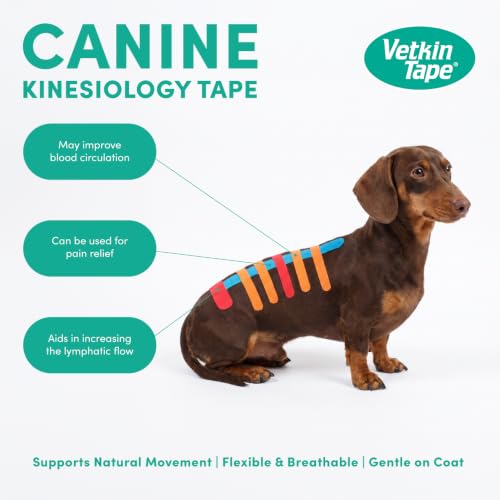 VetkinTape Canine & Equine Kinesiology Tape | Veterinary Tape 2.4" - color: Orange