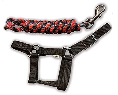 HalterUp Cute and Stylish Foal and Small Miniature Horse Halter and Lead Rope - Strong and Durable Yet Comfortable - Available in Black and Pink (Black, Foal/Newborn (up to 6 Months))