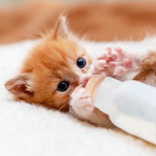 Pack of 5 Pet Feeding Bottle, Reusable Nursing Bottles Kits with Silicone Nipple, Replacement Original Feeding Bottle for Newborn Kittens Puppies Small Cat Dog Animals, Pink Short Nipple