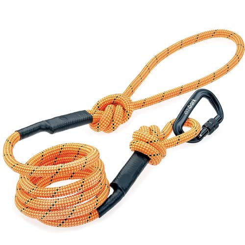 Embark Dog Leash - Heavy Duty Tough Nylon Training Lead for All Dog Breeds | Mountain Climbing Rope with Heavy Duty Locking Carabiner - Strong & Durable Nylon Pet Leash - 6 FT - Orange - color: Orange