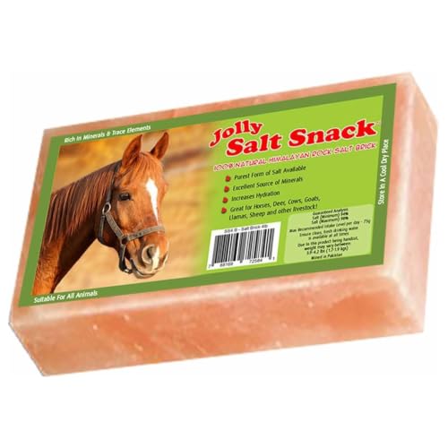 Horsemen's Pride Himalayan Salt Block on Rope for Horses, 4.4 Pounds, SS44