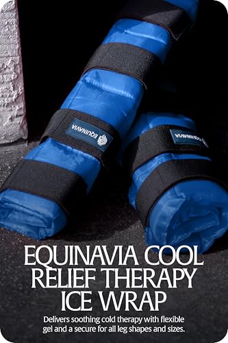 Equinavia Cool Relief Therapy Equine Ice Boots for Horses-Gel Cooling Wraps - color: Royal Blue