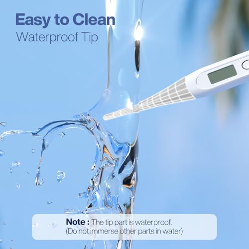 Boncare Digital Thermometer for Adults, Kids & Babies, Gray - color: Grey