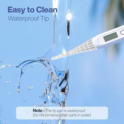 Boncare Digital Thermometer for Adults, Kids & Babies, Gray - color: Grey