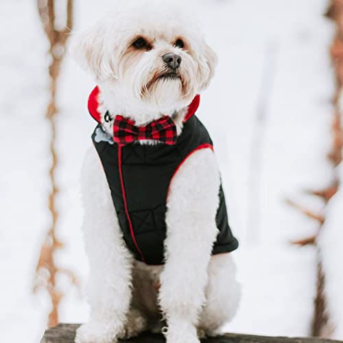 Gooby Sports Vest Dog Jacket, Black, Small - color: Black, size: Small chest (~13.25")
