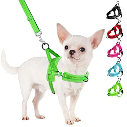 SlowTon No Pull Small Dog Harness and Leash Set with Front Clip | Soft Padded, Neck & Chest Adjustable, Lightweight, Anti-Twist, Puppy Vest Harness Pet Lead Combo for Small Medium Dog, G XXS - color: Green, size: XX-Small