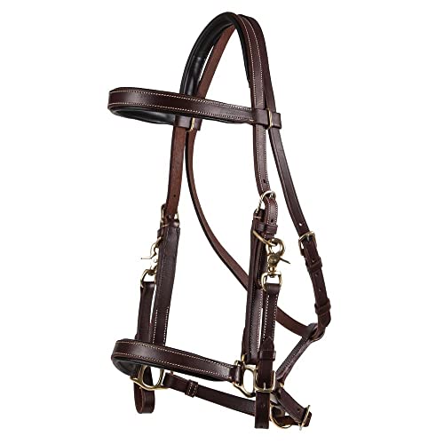 Schneiders Billy Royal Deluxe Trail Halter for Horses Bridle Combo | Convertible Halter/Bridle | Premium English Leather | Padded Comfort | Brass Hardware | Versatile Use