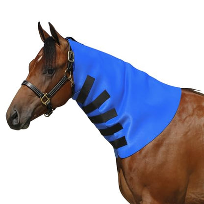 Dura-Tech Superior Neck Sweat for Horses | Horse's Sculpting Aid | Designed by Professionals | Stretchy Neoprene Adjustable Closure | Achieve Quick Results | Size Large - size: Large