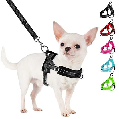 SlowTon No Pull Small Dog Harness and Leash Set with Front Clip | Soft Padded, Neck & Chest Adjustable, Lightweight, Anti-Twist, Puppy Vest Harness Pet Lead Combo for Small Medium Dog, B, XS - color: Black, size: X-Small