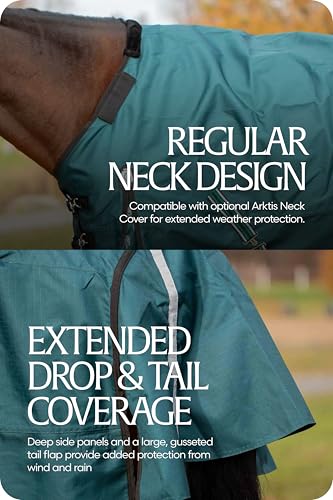 Equinavia Arktis Regular Neck Turnout Sheet - Deep Green - 69 in - color: Deep Green, size: 69 in