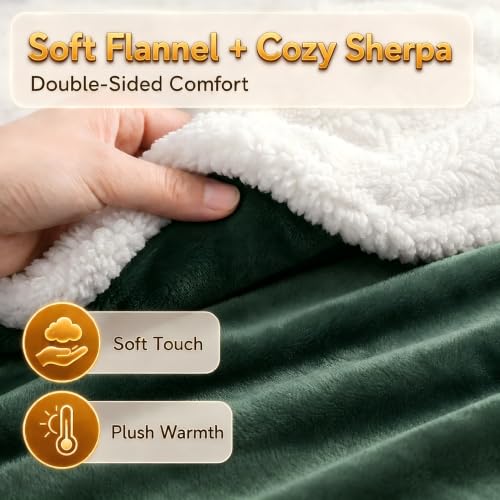 Heated Blanket Electric Blanket Queen Size 84''x90'' with 5 Heating Levels, 10 Hour Auto Shut Off, Machine Washable, Dual Controller Soft Warming Blanket for Couch, Bed, Office - Grass Green - color: 04-grass Green, size: 84''x90''(Queen)