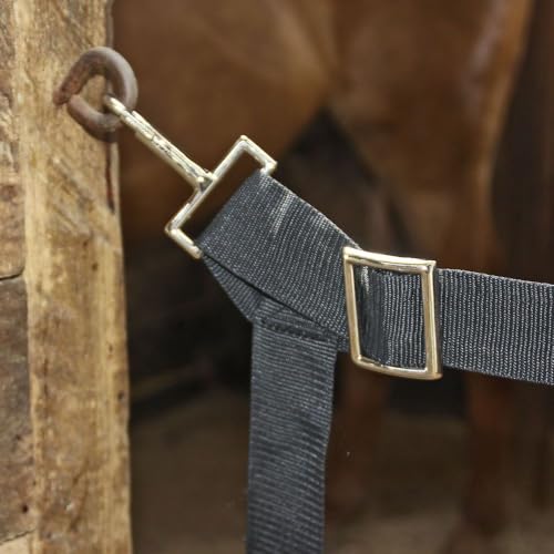 Dura-Tech Cordura Horse Stall Guard | Adjustable 44" to 52" Wide