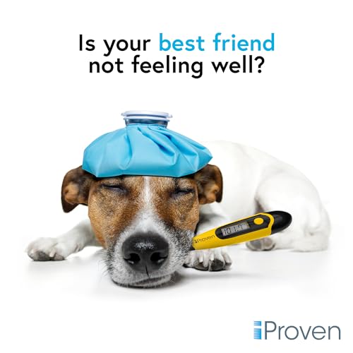 iProven Dog & Cat Thermometer for Fast and Accurate Fever Detection