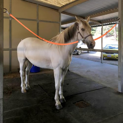 Cross Ties for Horse, Heavy Duty Nylon Trailer Tie - color: Orange