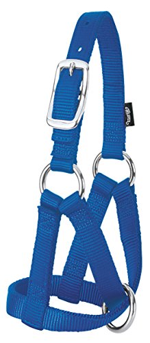 Weaver LivestockWeaver Leather Livestock Goat Halter, Blue, 3/4" Small - color: Blue, size: Small