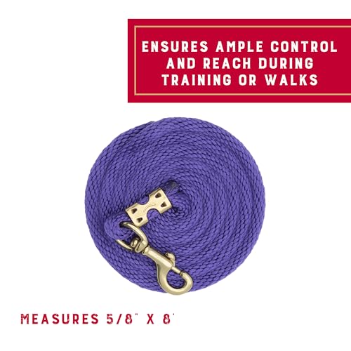 Weaver Equine Performance Lead Rope, Purple, 8' Horse Value Rope with Brass Plated 225 Snap, Soft Comfort Grip, Barn Horse Tack for Daily Use