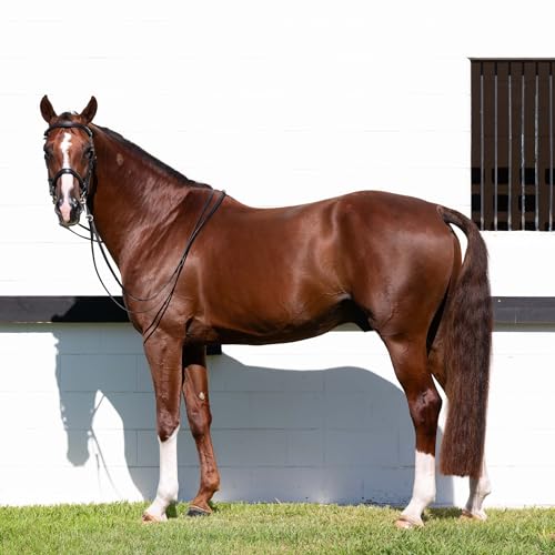 Equinavia Saga Double Bridle w/Reins - size: Horse