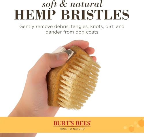 Burt's Bees for Pets Palm Brush with Hemp Bristles, Large Dogs, 2-Pack - size: 2 Count