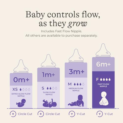 Lansinoh NaturalWave Baby Bottle Nipples, Fast Flow (F), 2 Count - size: 2 Count (Pack of 1), style: Fast-Flow