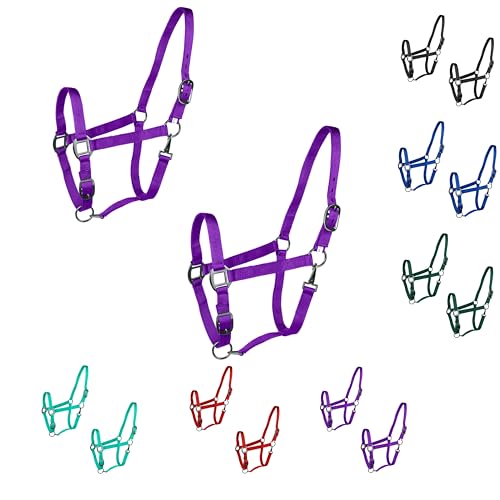 Majestic Ally Pack of 2 Adjustable Halter for Horses–Adjustable Chin and Crown– Sewn-in Throat Snap Hook- Heavy Duty Rose Gold or Black Nickel Finish Hardware–Full - color: Purple