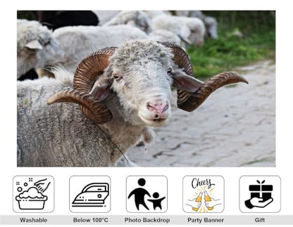 9x6ft Fabric Horned Sheep Portrait Backdrop Curly White Wool Big Brown Horn Rural Dirt Road Green Grass Photography Background Tapestry Party Farm Animal Decorations Photo Booth Props - size: 9x6ft