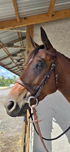 Leaders Padded Hunter Bridle with Reins, Hunter Bridle for Horses English Hunter Jumper Bridle with Reins