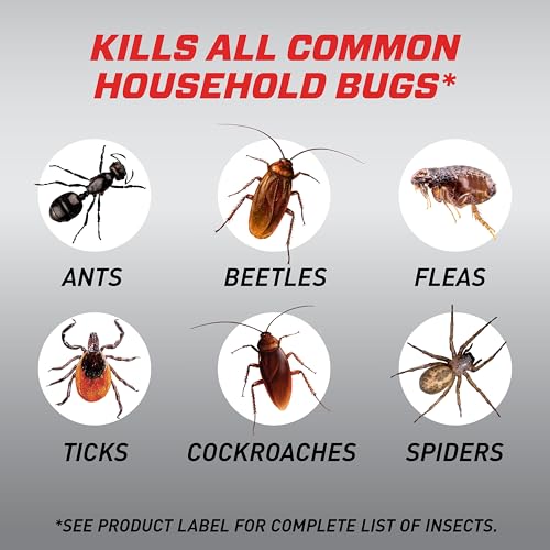 Ortho Home Defense MAX Indoor Insect Barrier Refill, 1.5 L | Home Bug Killer Refill for Battery Powered Quickhand Sprayer, Kills Ants, Roaches, Spiders, Fleas and Ticks - color: Refill Pouch