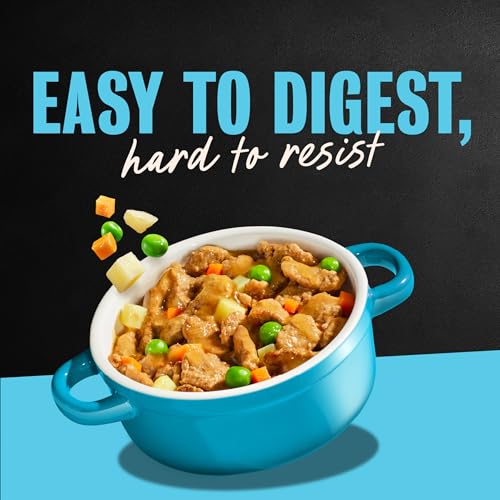 Cesar Loaf and Delights Wet Dog Food, Variety Lovers Pack, 3.5 oz, 36 Count | Real beef or chicken #1 ingredient, no fillers or artificial flavors, easy to digest, slow-cooked, easy-peel trays - size: 36 Count (Pack of 1)