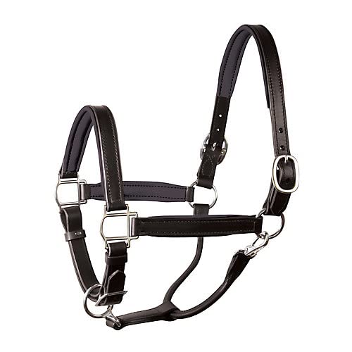 Perri's Soft Padded Leather Halter - color: Black/Black/Stainless, size: Cob
