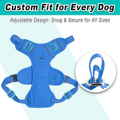 BARKBAY Dog Harness for Small Sized Dog No Pull Mesh 2 Clips Dog Vest - color: Blue-Mesh, size: X-Small
