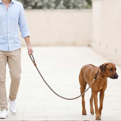 Mile High Life Dog Leash Braided Cotton Rope with Leather-Reinforced Ends - color: Camel, size: 60 Inch-1/2"