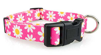 Limeloot Pink Daisy Dog Collar, Spring Summer Dog Collar for Female Dogs, Medium - color: Pink Daisy, size: Medium