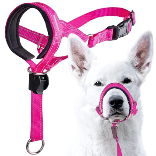 GoodBoy Dog Head Halter with Safety Strap - Stops Heavy Pulling On The Leash - Padded Headcollar for Small Medium and Large Dog Sizes - Head Collar Training Guide Included (Size 4, Pink Nylon) - color: Pink Nylon / Black Padding, size: Size 4 (Pack of 1)