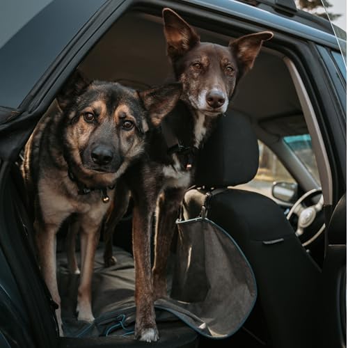 Beau's Bells V2 | Cat & Dog Collar Bells with New Quick Loop Easy Release Clip | Handmade Copper | Track Your Pet | Protect Wildlife - size: Medium