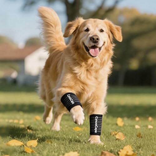 Front Leg Brace for Dogs & Cats – Carpal Splint with Wrist Support for Small & Large Breeds - size: Large
