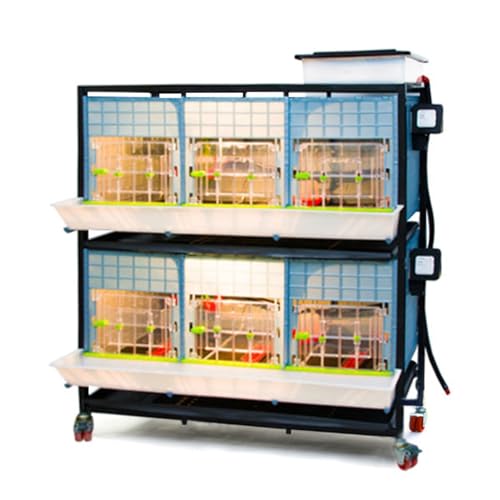 Hatching Time 15" Chick Brooders, Automatic Heating, 3 Section, 2 Layer - style: 3 Section, 2 Layer