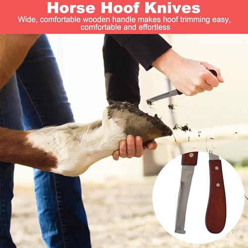 8Pcs Farrier Hoof Tool Kit, Horse Hoof Trimming Tools, For Horses Cattle