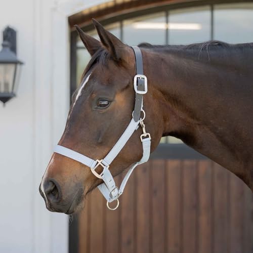 Equinavia Loki Adjustable Breakaway Horse Halter - Sweet Blue - Cob - color: Sweet Blue, size: Cob