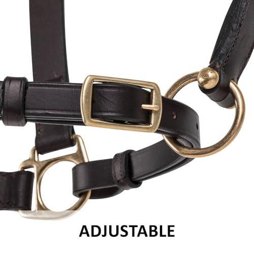 Dura-Tech Premier Lancaster Leather Halter for Horses | Simple Economy Leather Halter with Adjustable Fit & Solid Brass Hardware - size: Full Size