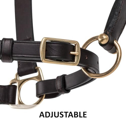 Dura-Tech Premier Lancaster Leather Halter for Horses | Simple Economy Leather Halter with Adjustable Fit & Solid Brass Hardware - size: Full Size