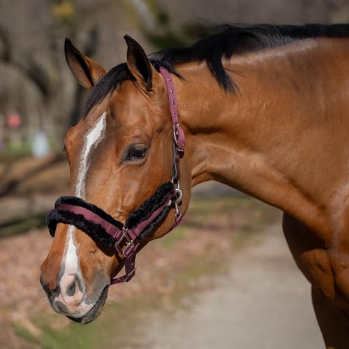 Equinavia Valkyrie Ultra Fleece Soft Padded Horse Halter Breakaway - color: Plum Wine/Black, size: Cob