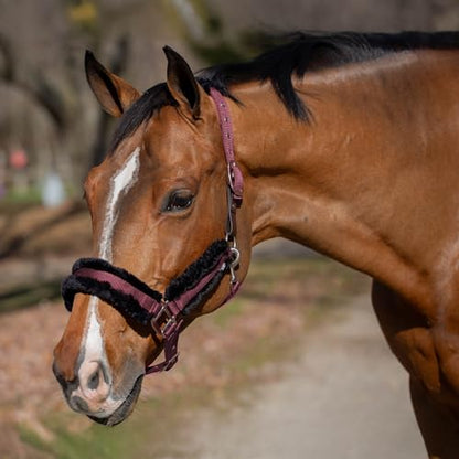 Equinavia Valkyrie Ultra Fleece Soft Padded Horse Halter Breakaway - color: Plum Wine/Black, size: Cob