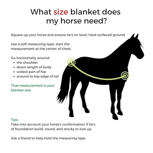 Reinsman Classic Turnout Winter Warm Horse Blanket with 200g Fill| Water-Resistant 600 Denier | Comfortable Fleece-Lined Adjustable Neck | Breathable Nylon Liner | Easy to Clean, Tan/Blue, 69"