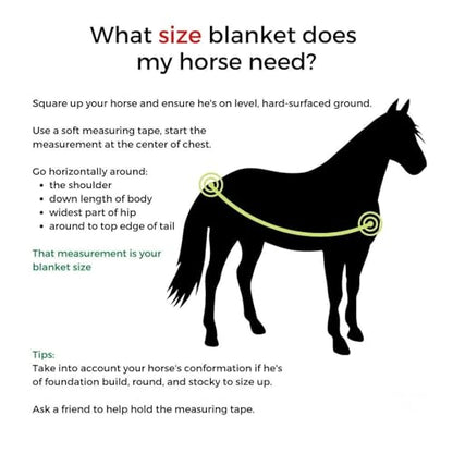 Reinsman Classic Turnout Winter Warm Horse Blanket with 200g Fill| Water-Resistant 600 Denier | Comfortable Fleece-Lined Adjustable Neck | Breathable Nylon Liner | Easy to Clean, Tan/Blue, 69"