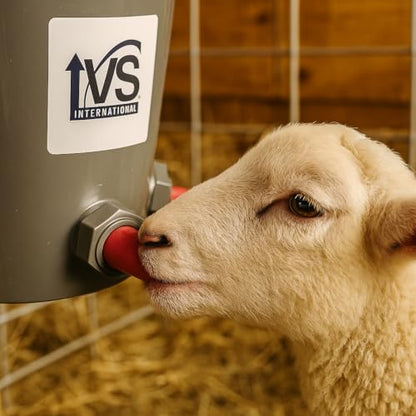Lamb Feeder Bucket with 3 Teats and Valves – Metal Handle - Milk Feeding