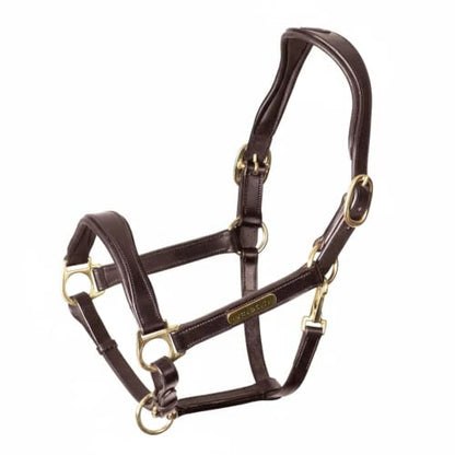 Shires Velociti Rapida Cushioned Leather Halter | FreedomFit cushioned crown cutaway ear vegetable-dyed high shine brass, cob full sizes - color: Havana, size: Pony