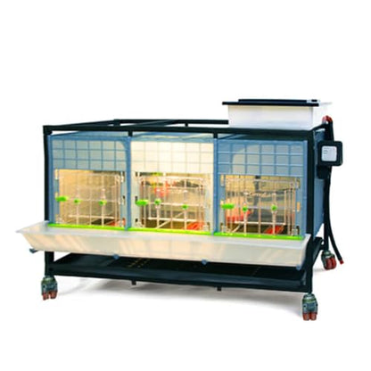 Hatching Time 15" Chick Brooders, Automatic Heating, 3 Section, 1 Layer - style: 3 Section, 1 Layer