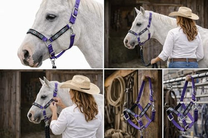 CHALLENGER Nylon Horse Beaded Halter Nickle Plated Hardware w/Lead Rope Tack Blue 606175 - color: Purple, size: Cob Size