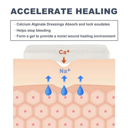 LotFancy Calcium Alginate Wound Dressing, Sterile 4”x8” 10 Pads, Nonstick | Highly Absorbent Non-stick Pads for Exuding Wounds, Post-Surgery Care, Minor Burns, Cuts and Traumatic Wounds, Fast Healing - style: 4"x 8" (10-Count)